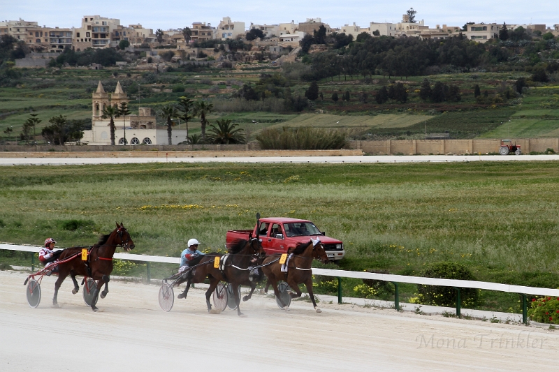 2015_Race 4 - 03.JPG